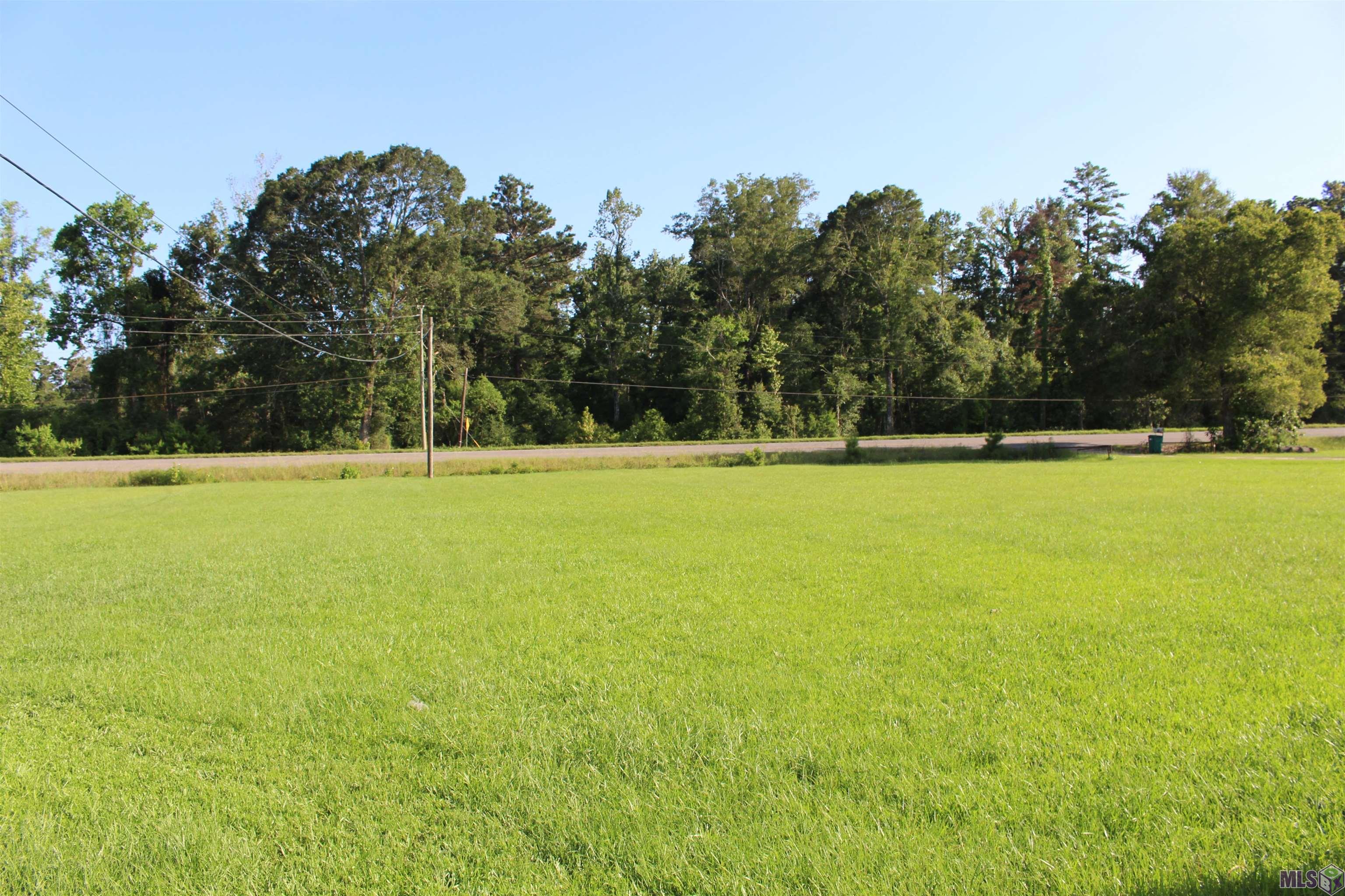 13505 Springfield Road Walker, LA 70785 - Photo 2 of 4