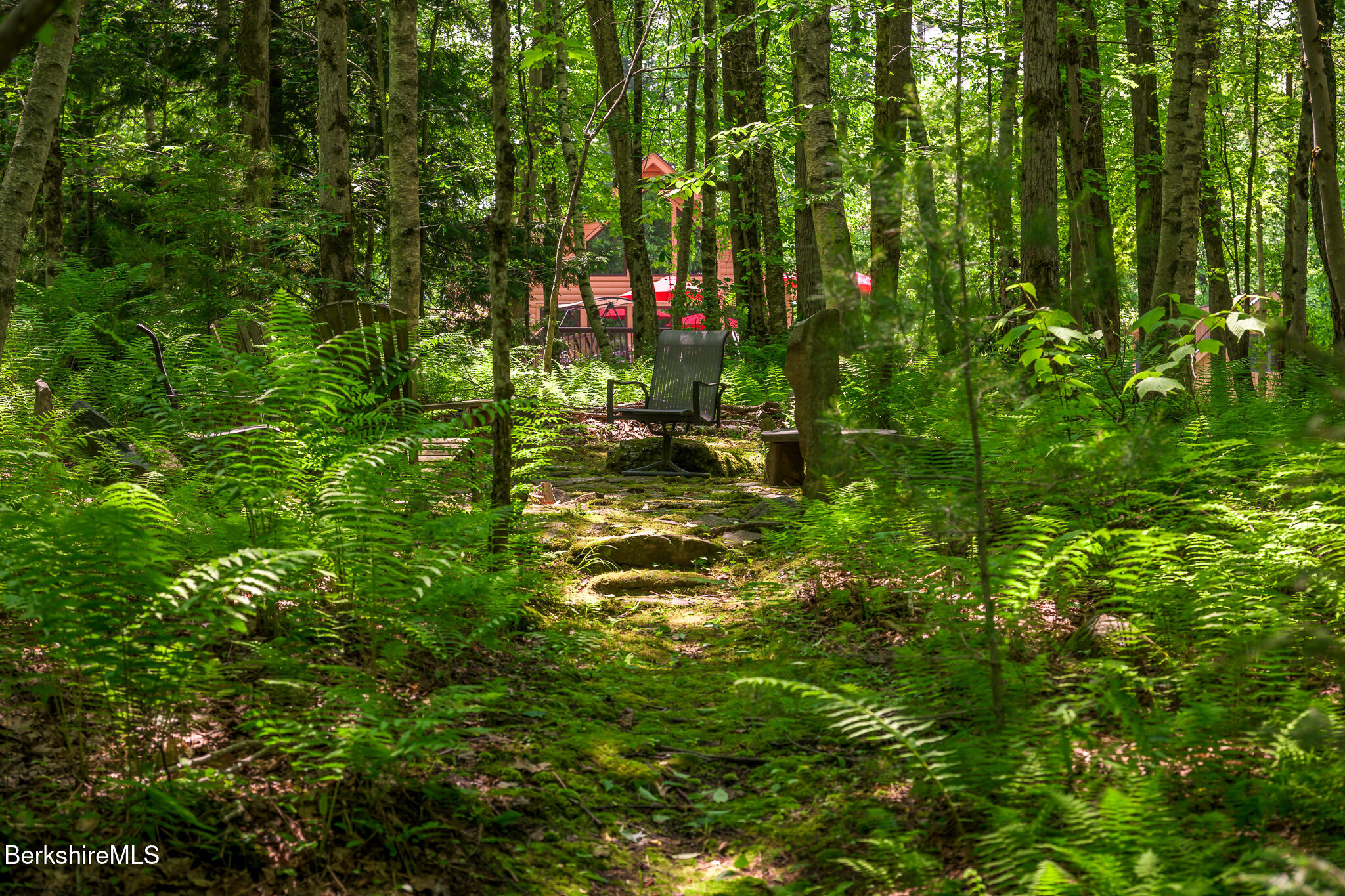 2232 Jacobs Ladder Road Becket, MA 01223 - Photo 38 of 44 a backyard of a house with lots of green space