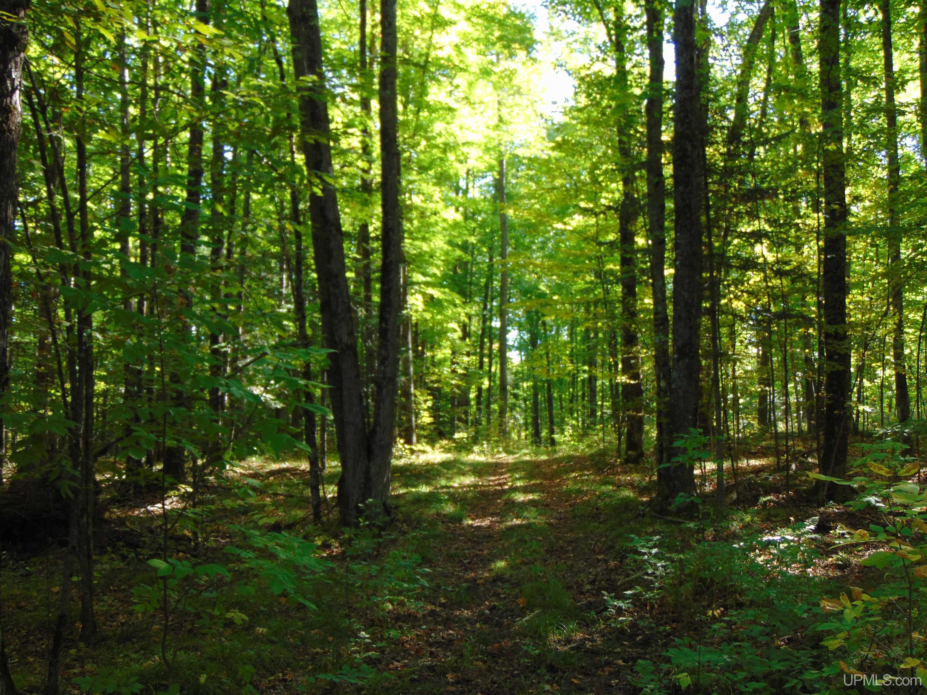 14571 Holombo Road Bruce Crossing, MI 49912 - Photo 23 of 30