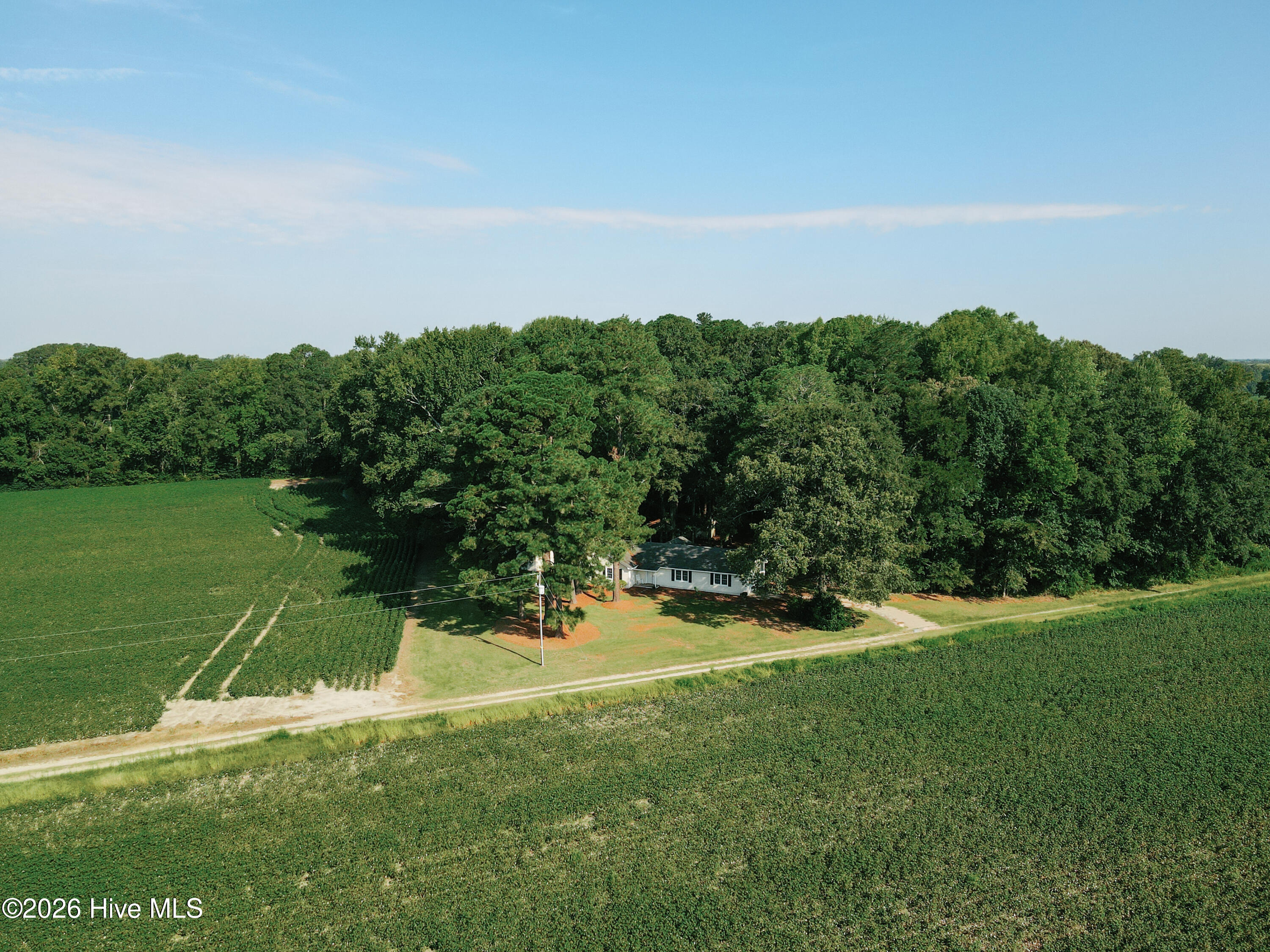 424 Dail Road Grimesland, NC 27837 - Photo 2 of 33 Gallery Image 2