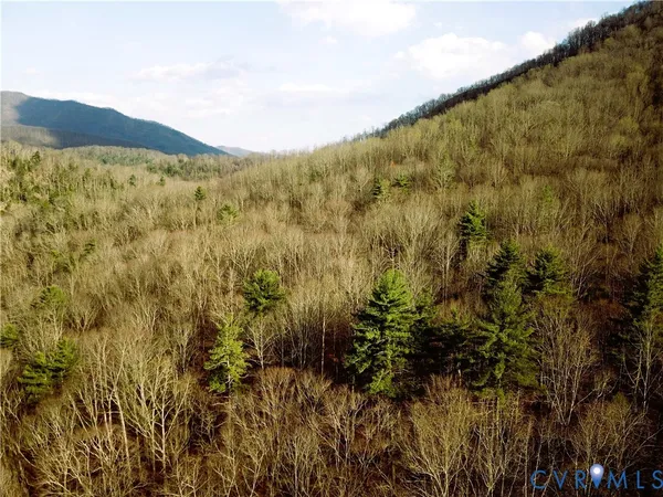 $595,000 | 9623 Crabtree Falls Highway, Tyro, VA 22976