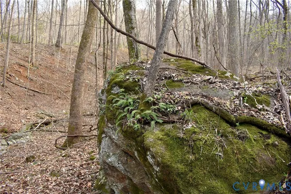 $595,000 | 9623 Crabtree Falls Highway, Tyro, VA 22976