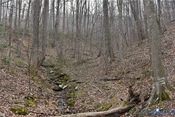 $595,000 | 9623 Crabtree Falls Highway, Tyro, VA 22976