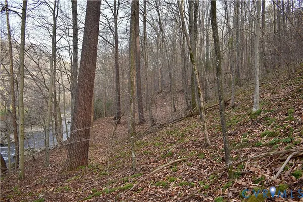 $595,000 | 9623 Crabtree Falls Highway, Tyro, VA 22976