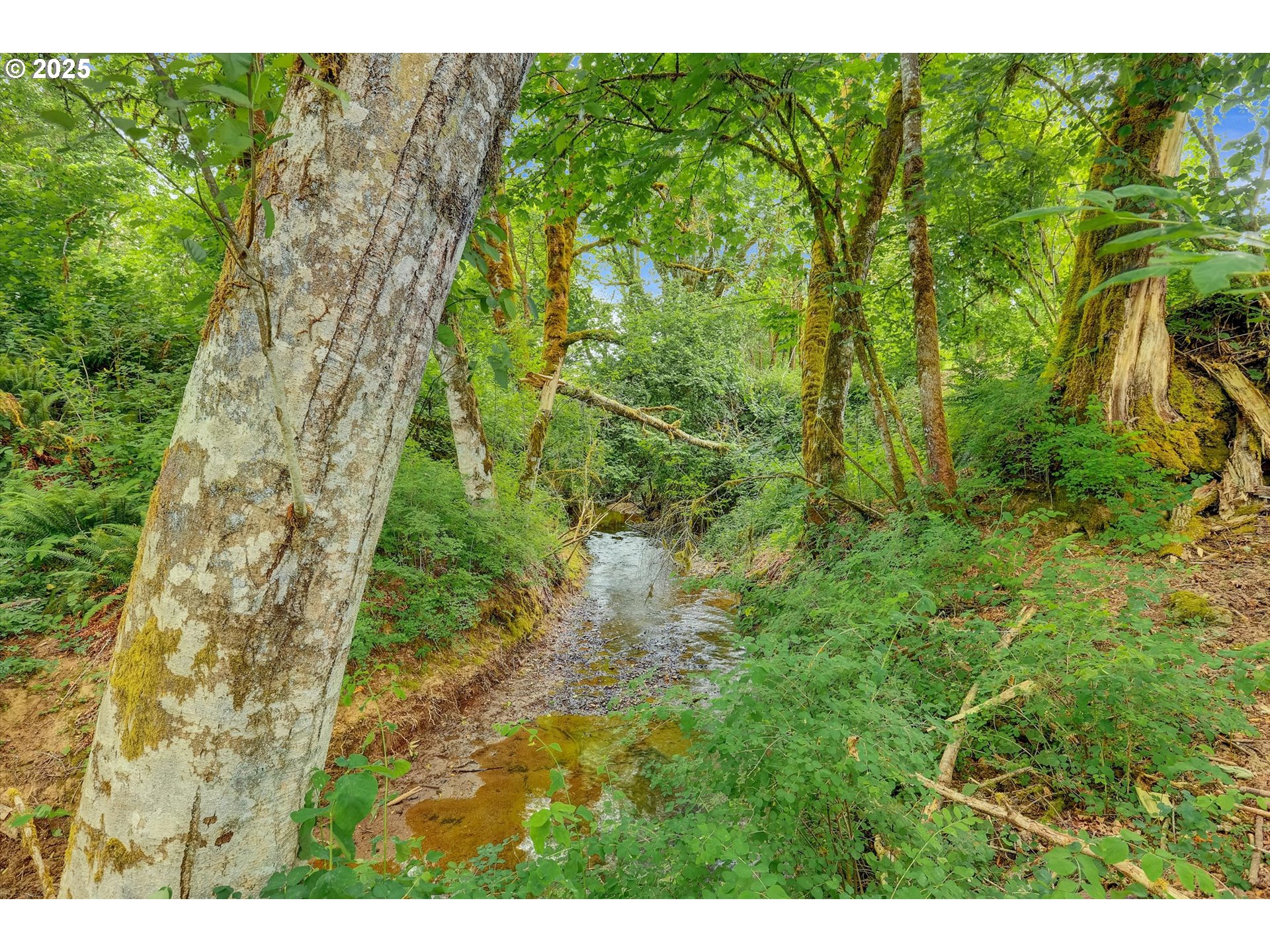 47266 Southwest Carpenter Creek Road Forest Grove, OR 97116 - Photo 31 of 47