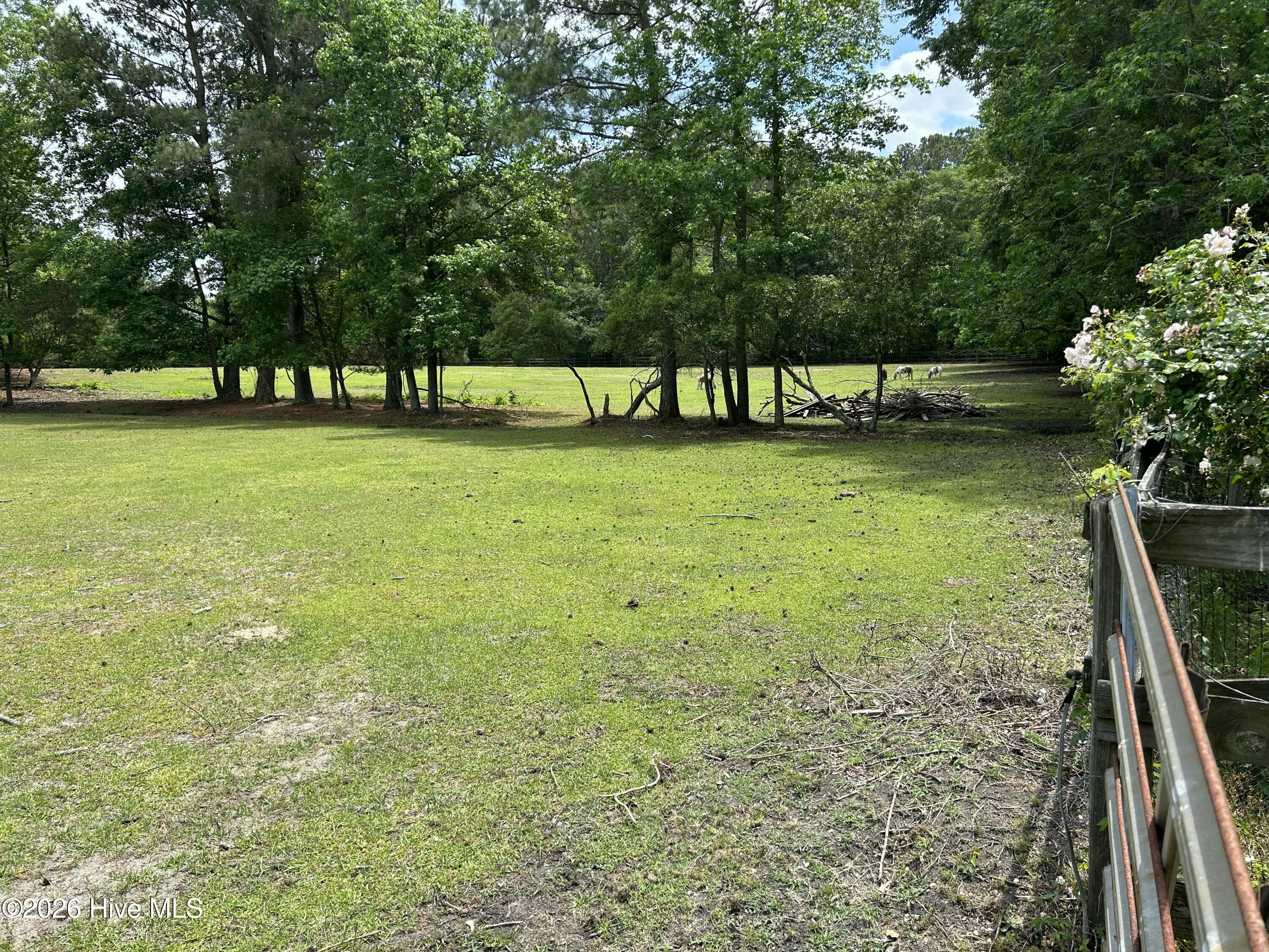 768 Bethesda Church Road Orrum, NC 28369 - Photo 56 of 65