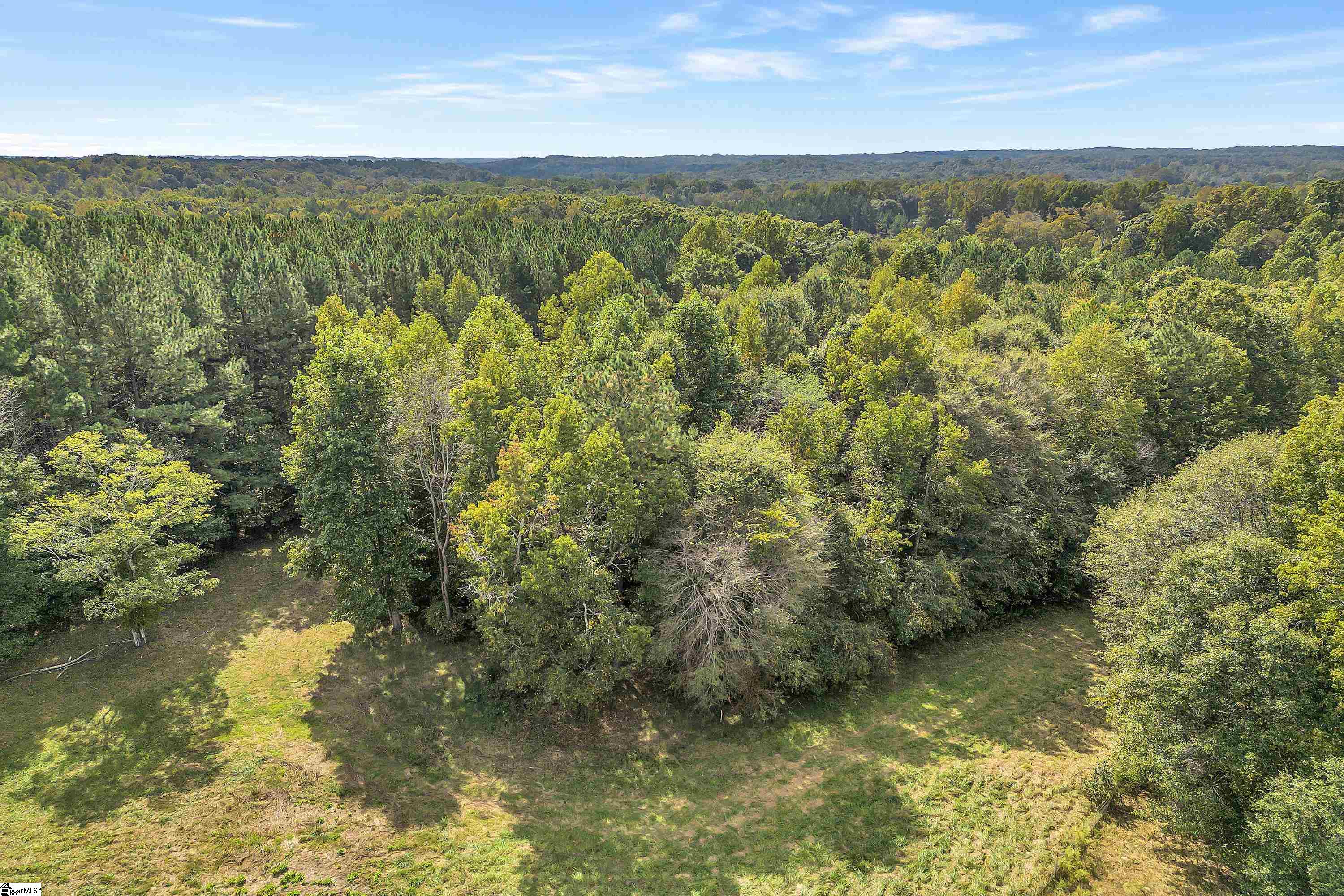 0 Pearson Town Road Moore, SC 29369 - Photo 11 of 14