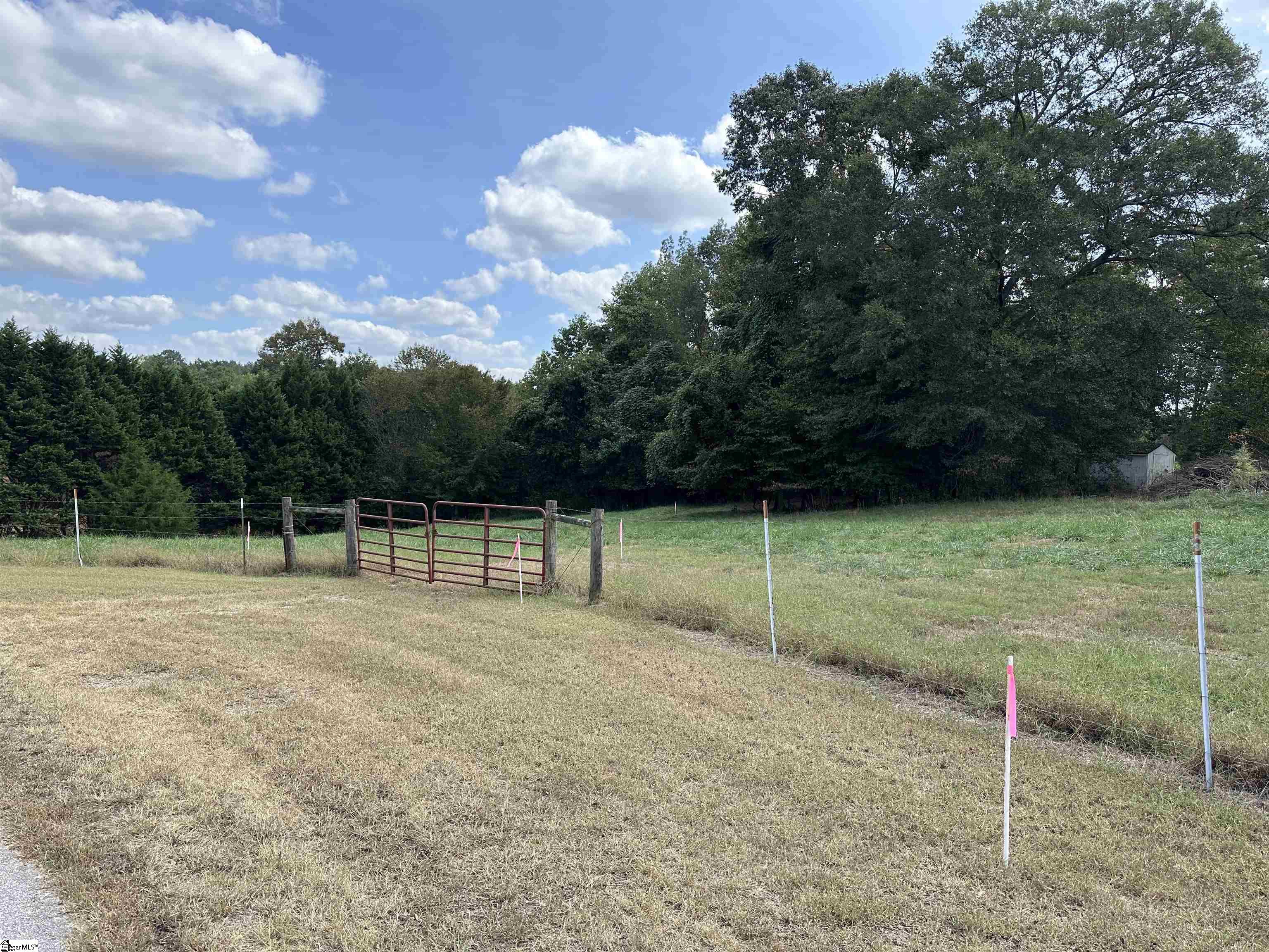 0 Pearson Town Road Moore, SC 29369 - Photo 13 of 14