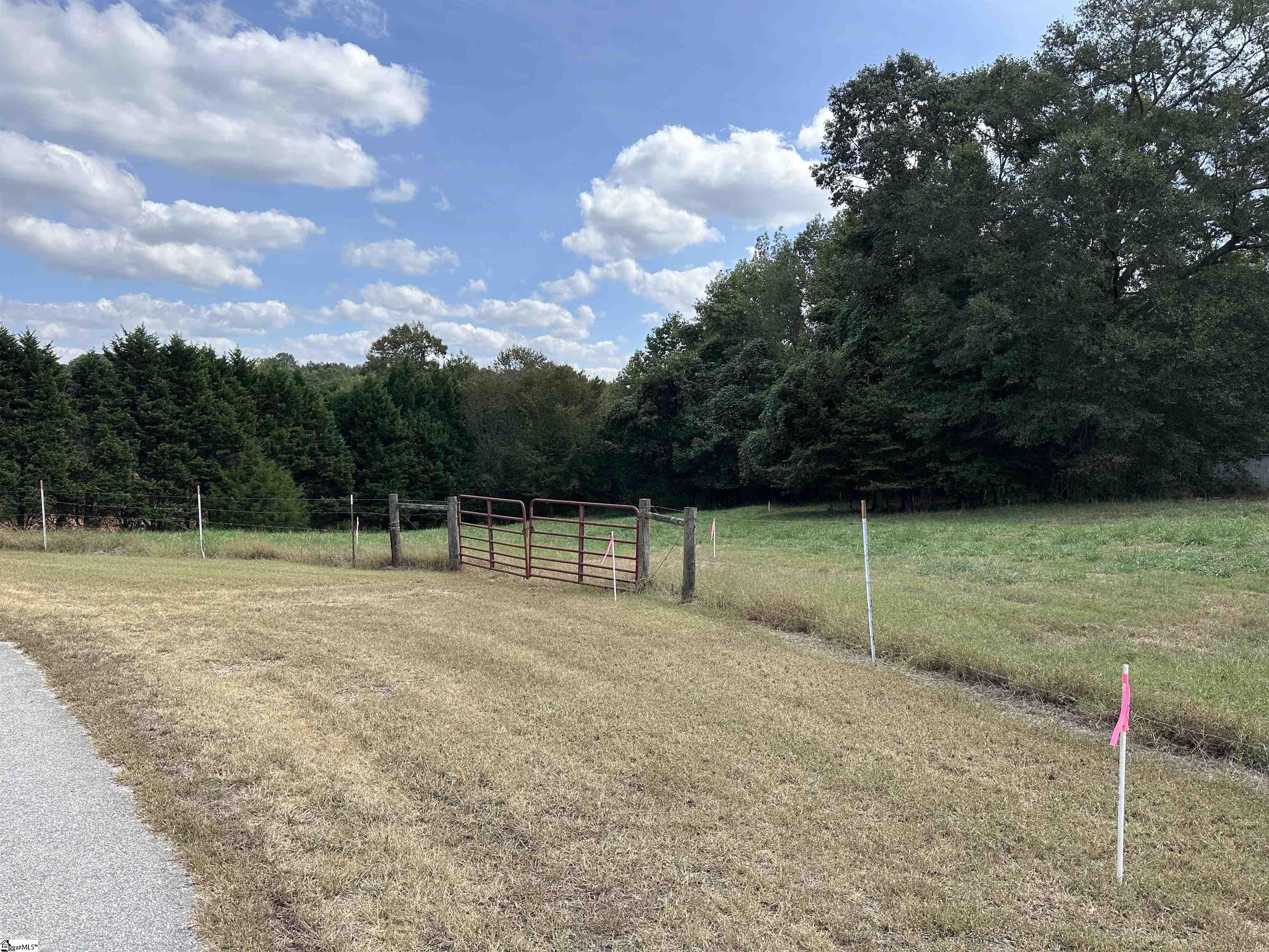 0 Pearson Town Road Moore, SC 29369 - Photo 6 of 14