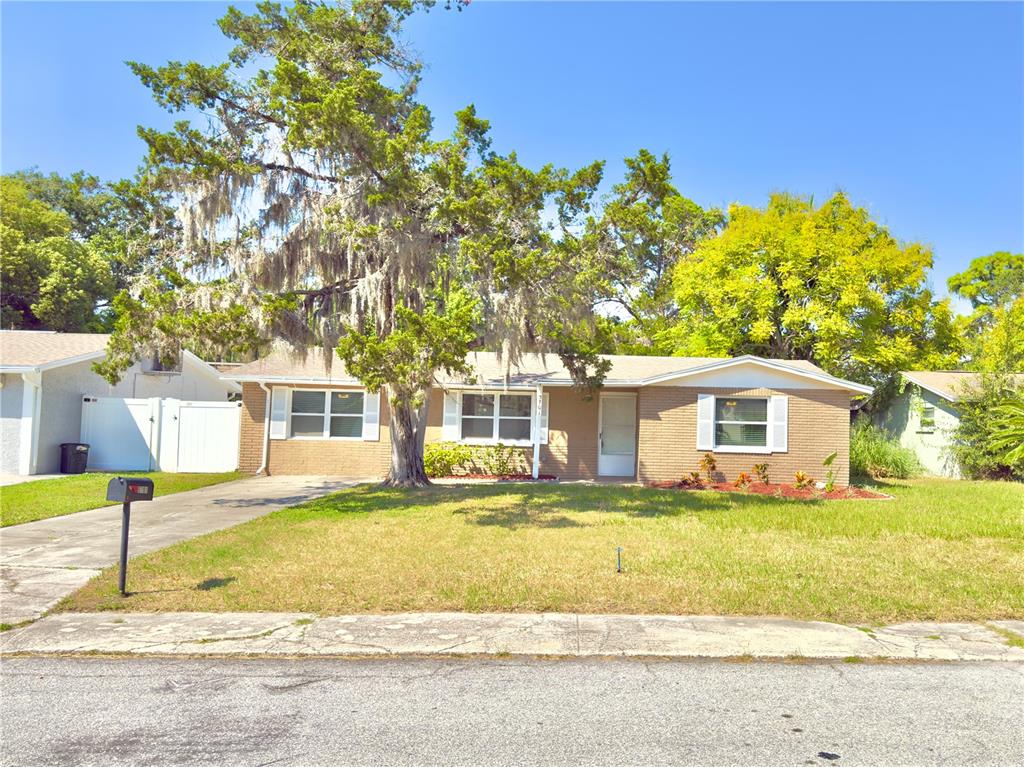 5701 Quist Drive Port Richey, FL 34668 - Photo 2 of 53 a front view of a house with a yard