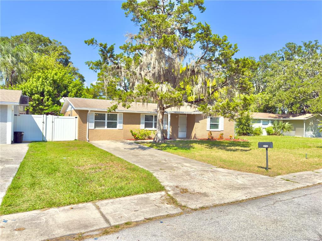 5701 Quist Drive Port Richey, FL 34668 - Photo 3 of 53 a view of a house with backyard and trees