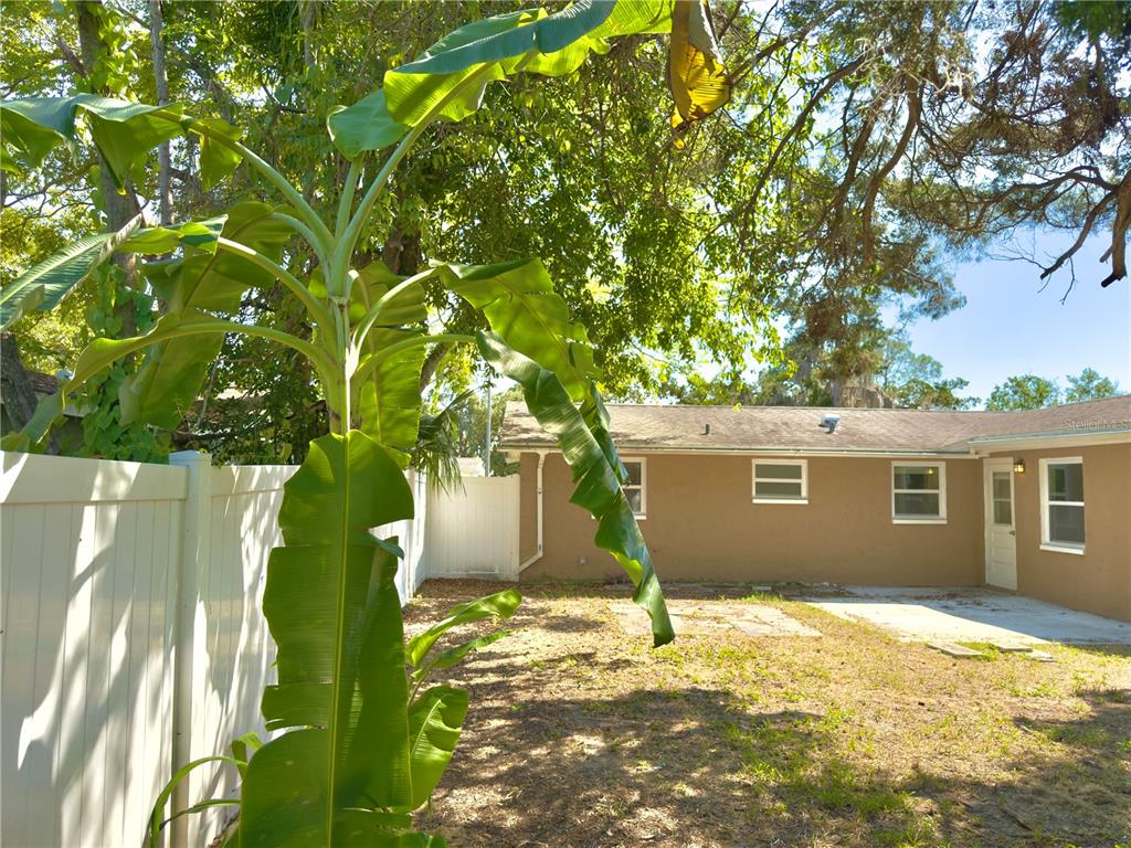 5701 Quist Drive Port Richey, FL 34668 - Photo 46 of 53 a view of a house with a yard