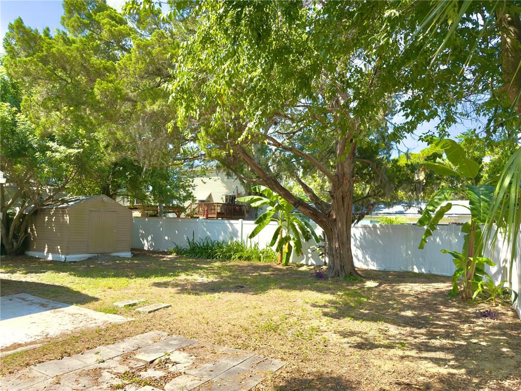 5701 Quist Drive Port Richey, FL 34668 - Photo 47 of 53 a view of swimming pool next to a yard and large trees