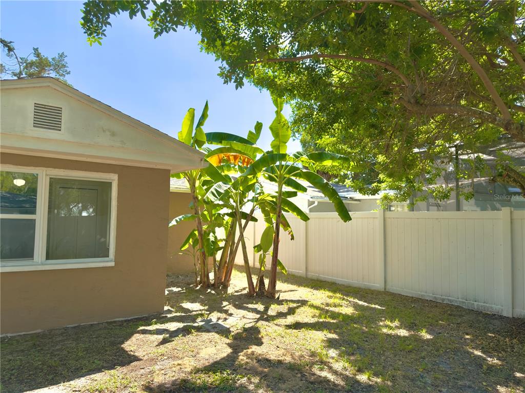 5701 Quist Drive Port Richey, FL 34668 - Photo 48 of 53 a view of a yard with an tree