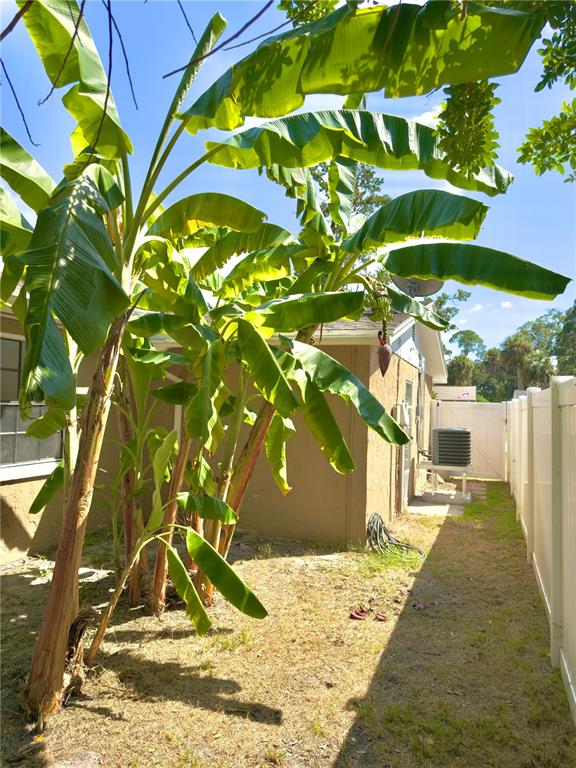 5701 Quist Drive Port Richey, FL 34668 - Photo 50 of 53 a view of outdoor space