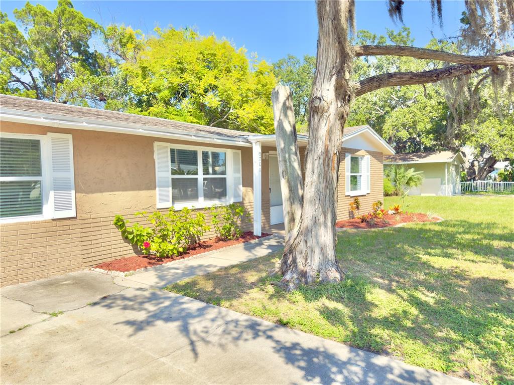 5701 Quist Drive Port Richey, FL 34668 - Photo 5 of 53 a front view of a house with a yard