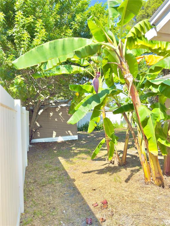 5701 Quist Drive Port Richey, FL 34668 - Photo 52 of 53 a view of a yard