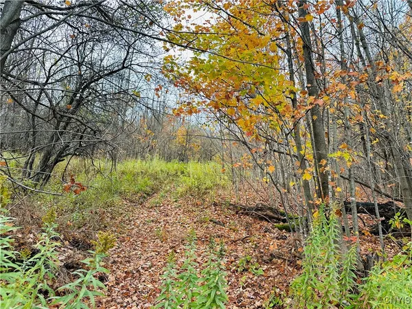 $225,000 | 5373 Carpenter Road, Turin, NY 13473