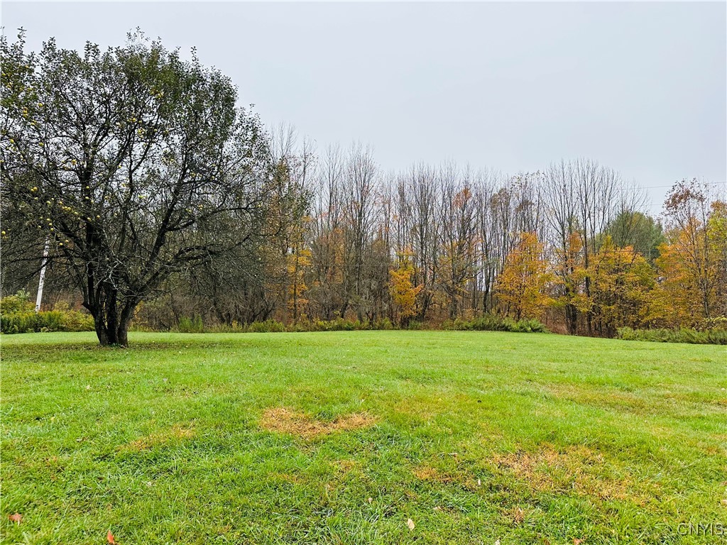 5373 Carpenter Road Turin, NY 13473 - Photo 27 of 35