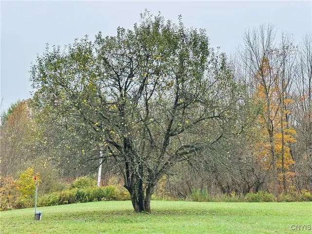 $249,900 | 5373 Carpenter Road, Turin, NY 13473