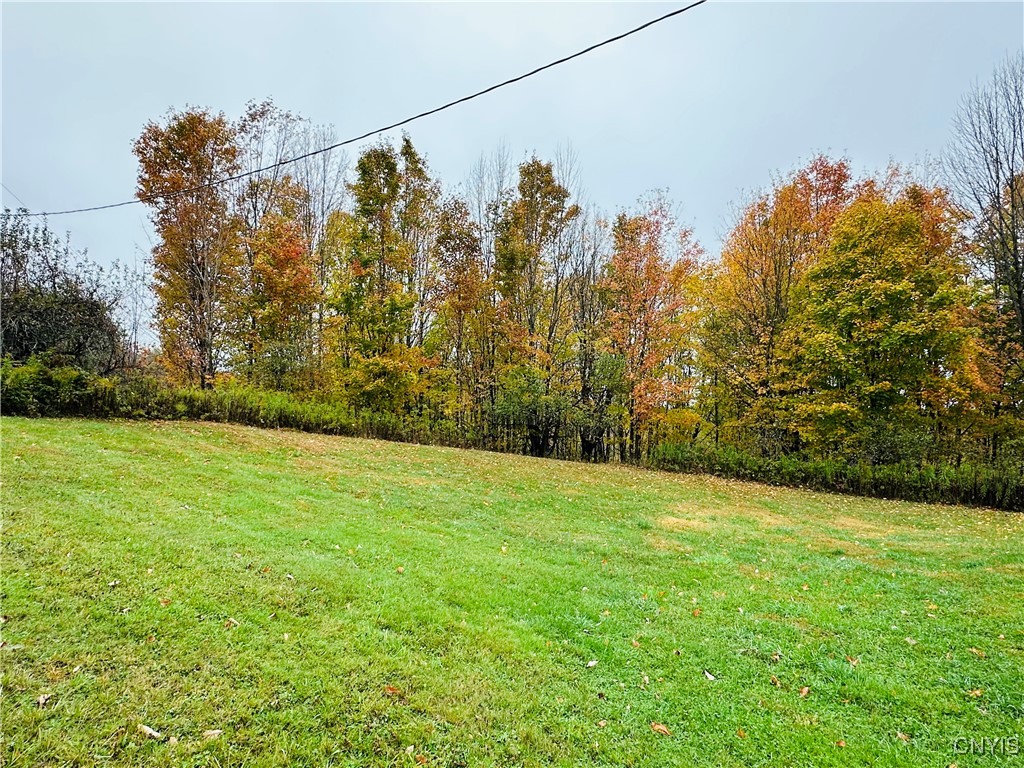 5373 Carpenter Road Turin, NY 13473 - Photo 31 of 35