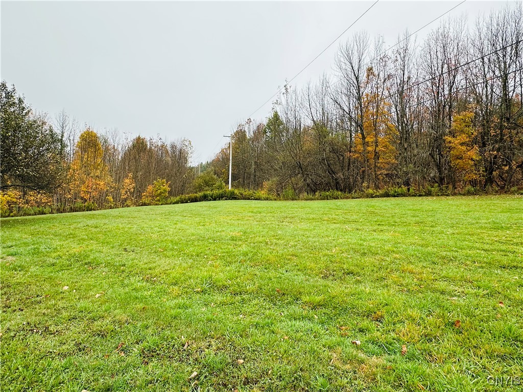 5373 Carpenter Road Turin, NY 13473 - Photo 32 of 35