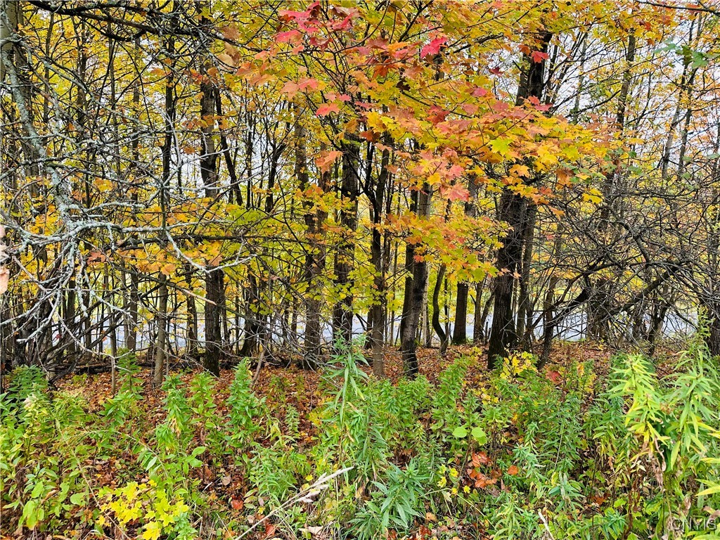 5373 Carpenter Road Turin, NY 13473 - Photo 35 of 35