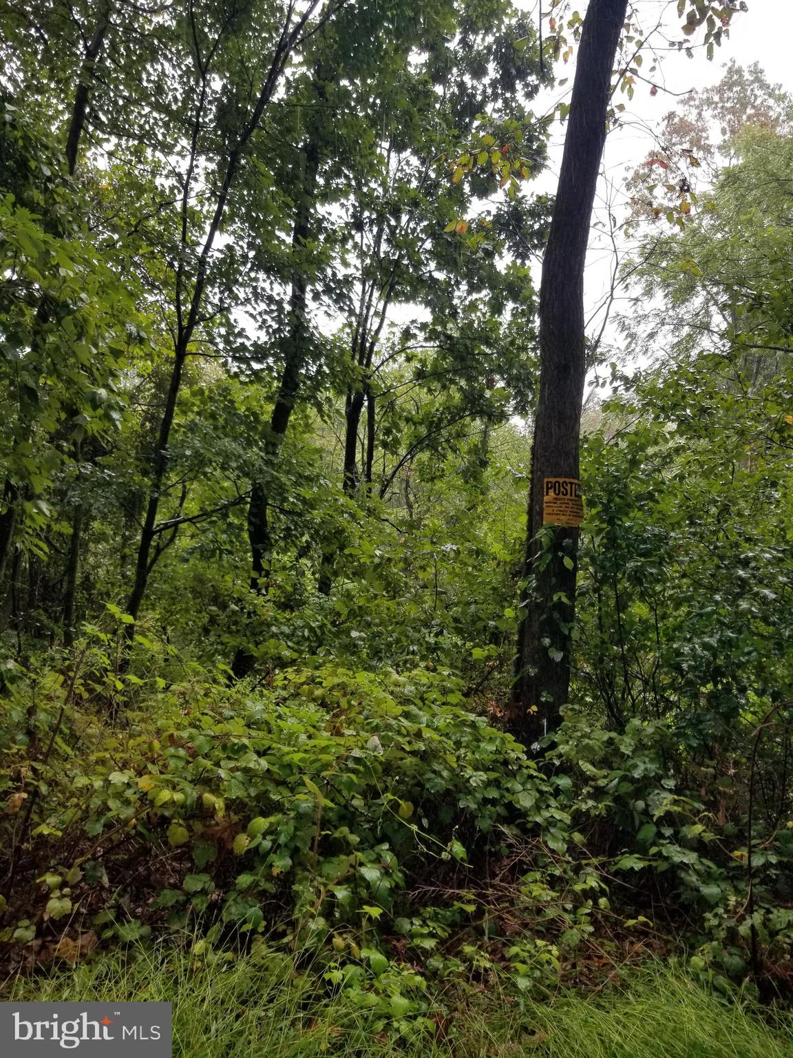 Lot 094 Fireline Road Kintnersville, PA 18930 - Photo 2 of 4