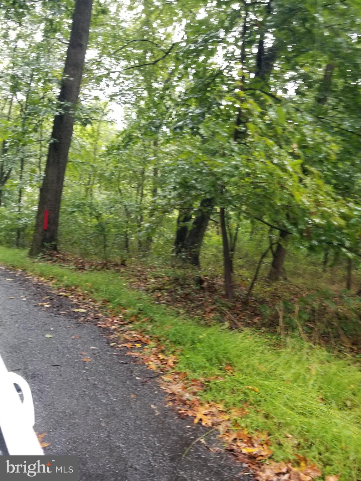 Lot 094 Fireline Road Kintnersville, PA 18930 - Photo 3 of 4