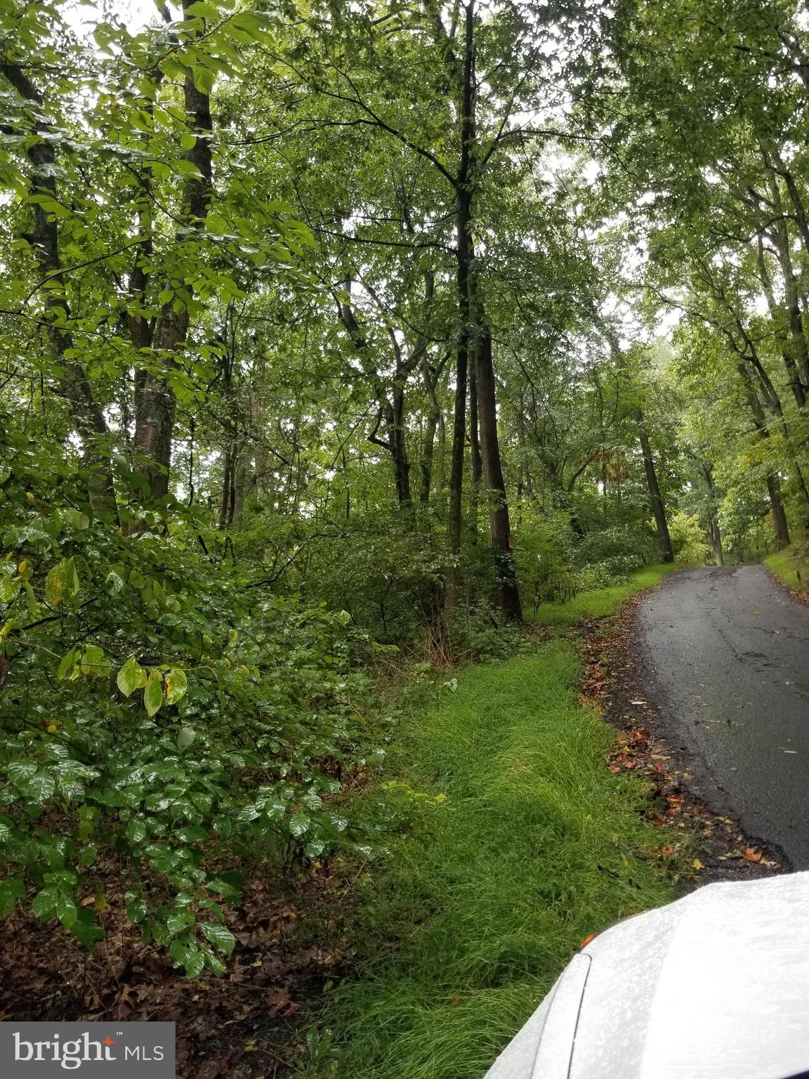 Lot 094 Fireline Road Kintnersville, PA 18930 - Photo 4 of 4