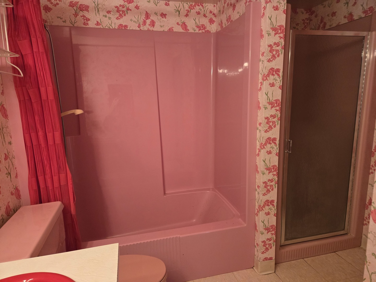 1663 East Rietveld Drive Crete, IL 60417 - Photo 49 of 64 a bathroom with a shower curtain and a view of the chair
