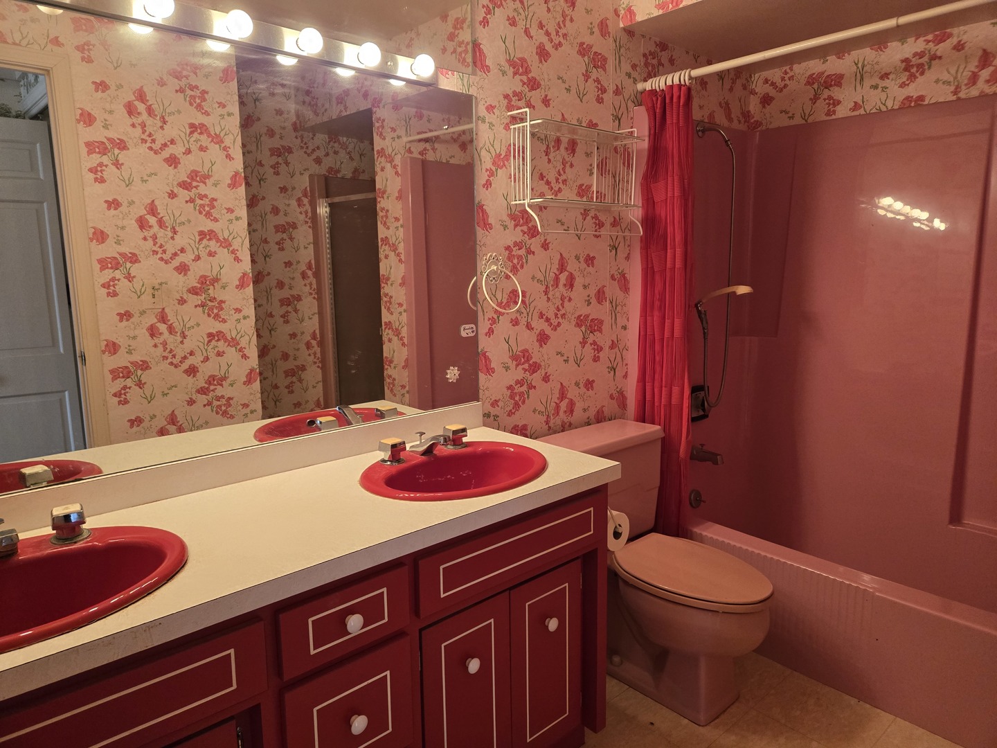1663 East Rietveld Drive Crete, IL 60417 - Photo 50 of 64 a bathroom with a sink a toilet and shower