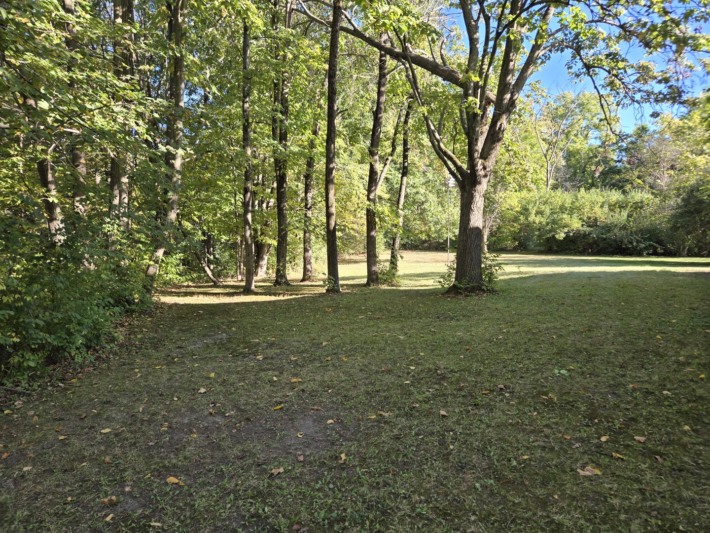 1663 East Rietveld Drive Crete, IL 60417 - Photo 57 of 64 a view of outdoor space with trees all around