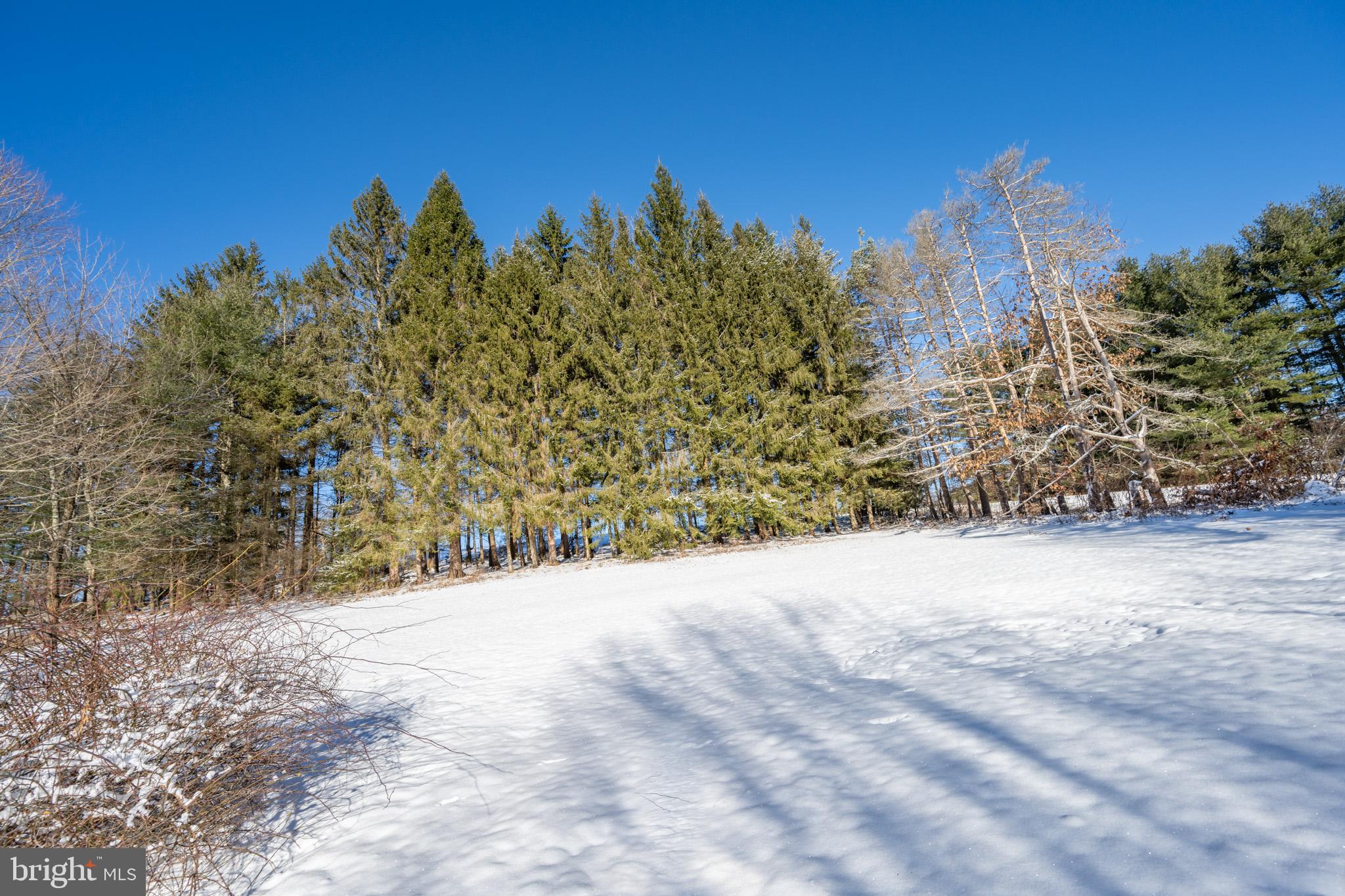 3931 Hutton Road Oakland, MD 21550 - Photo 14 of 70