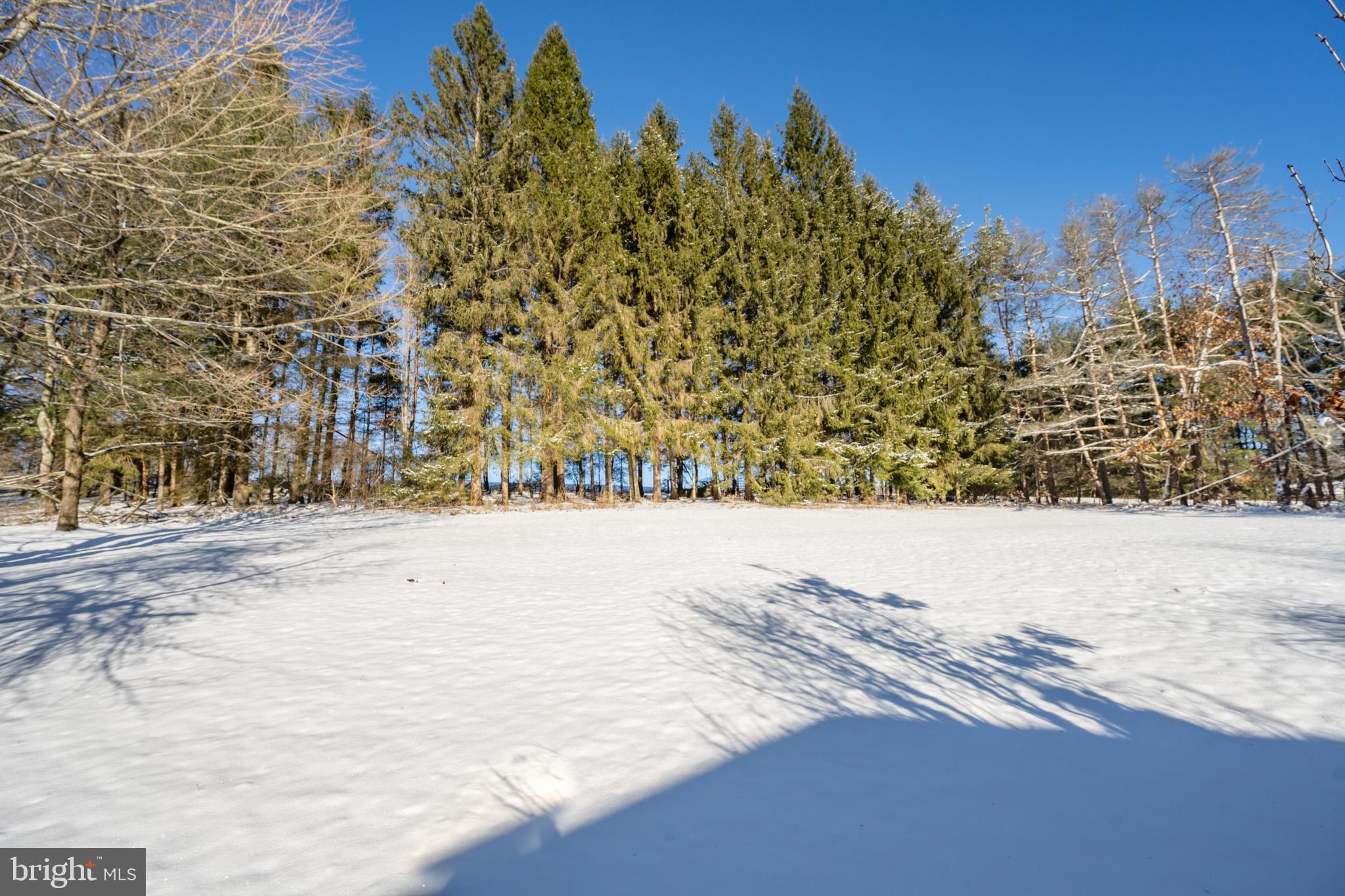 3931 Hutton Road Oakland, MD 21550 - Photo 8 of 70