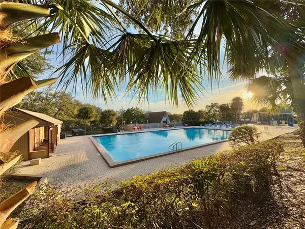 a view of a yard with palm tree