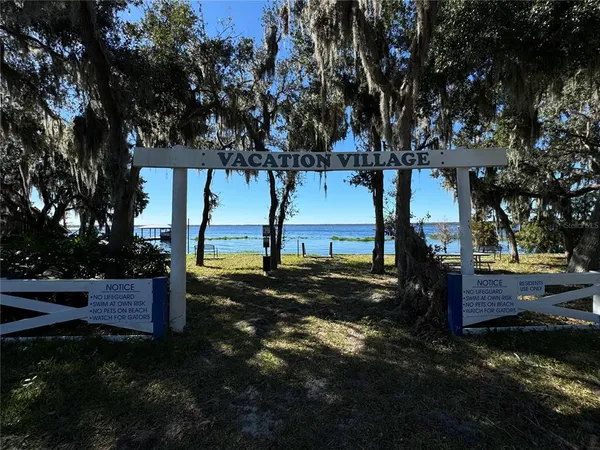 a view of a yard with plants and trees