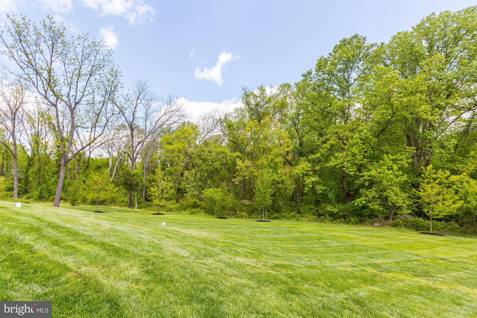 13029 Highgrove Road Highland, MD 20777 - Photo 64 of 71 Private View Backs to Trees