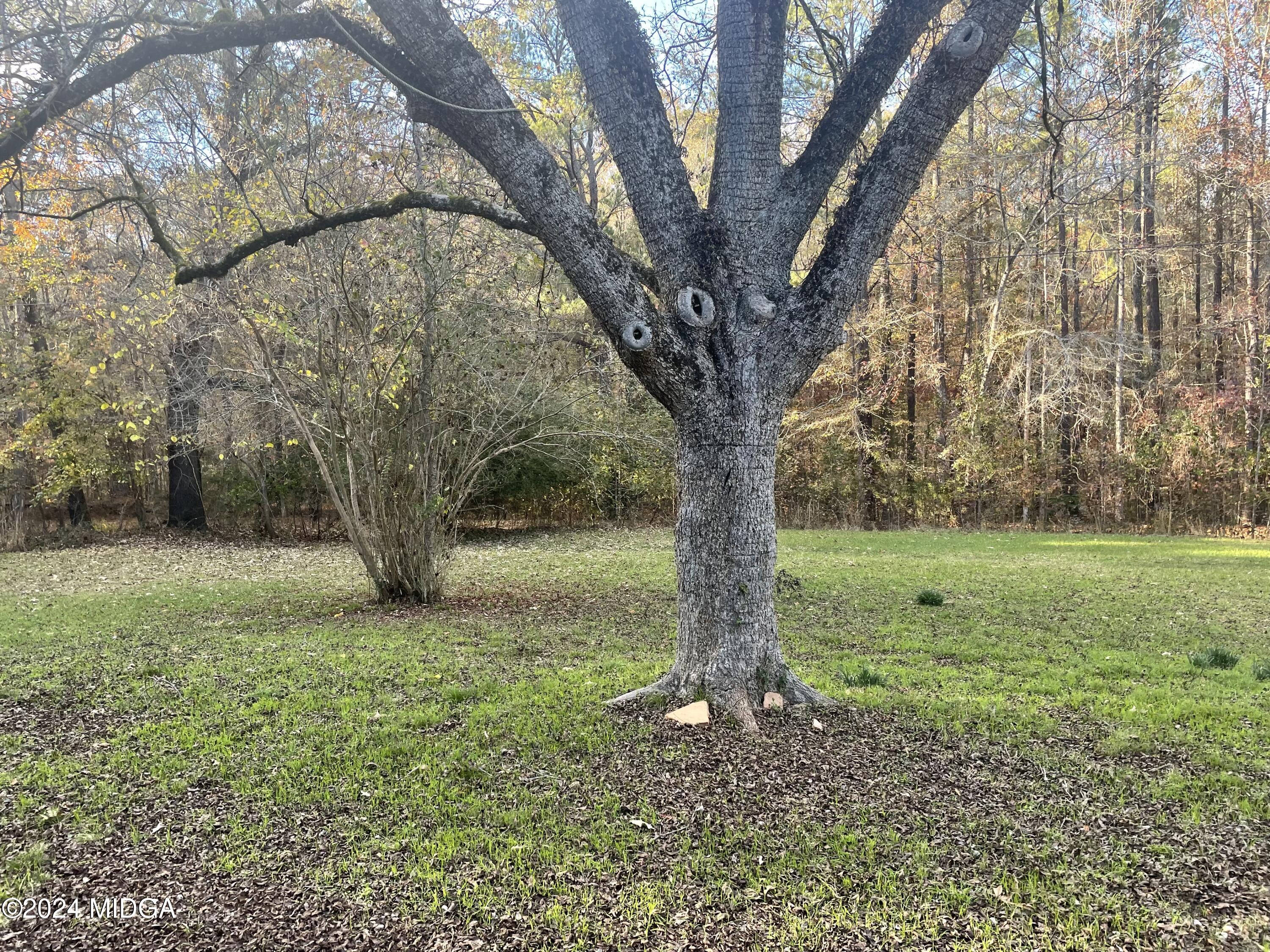 216-218 Cork Road Flovilla, GA 30216 - Photo 7 of 24 IMG_2730