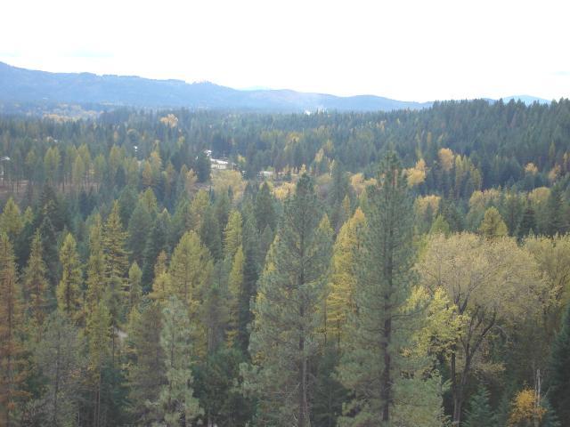 27 West Settlement Road Priest River, ID 83856 - Photo 1 of 1 View
