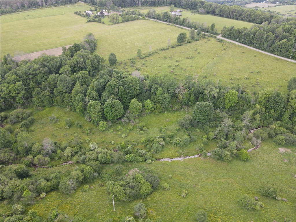 Lot 12 Beebe Hill Road Cuba, NY 14727 - Photo 1 of 13