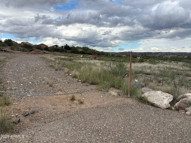 a view of a forest with mountains in the background