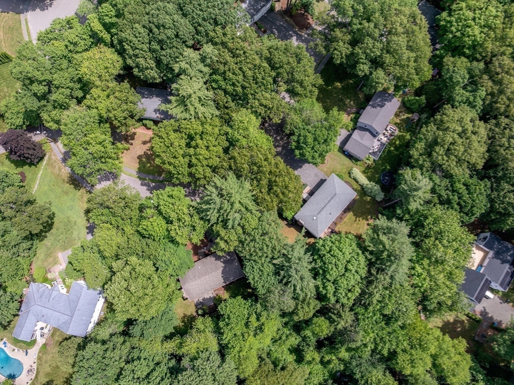 14 Oxbow Road Natick, MA 01760 - Photo 35 of 42 Gallery Image 35