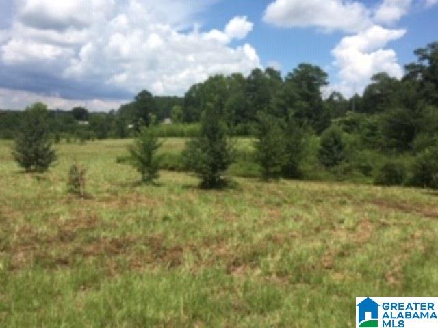 0 Hackney Street, Unit 8 29 ACRES Lincoln, AL 35096 - Photo 9 of 18