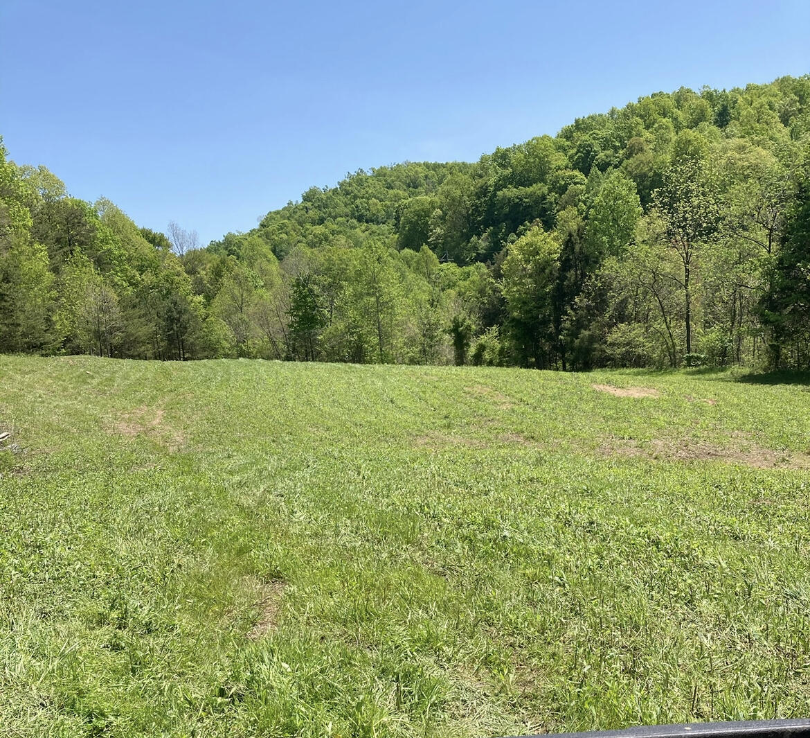 156 Mohawk Road Mount Vernon, KY 40456 - Photo 1 of 34 813594DD-4584-443C-8D4B-18E1B8DE555C