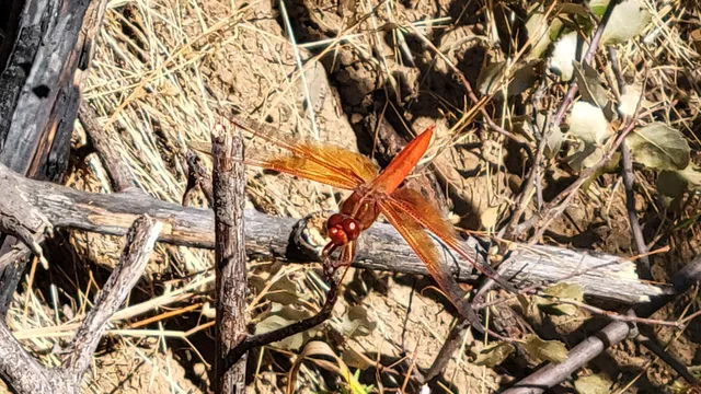 $115,000 | 14485 Small Farms Drive, Igo, CA 96047