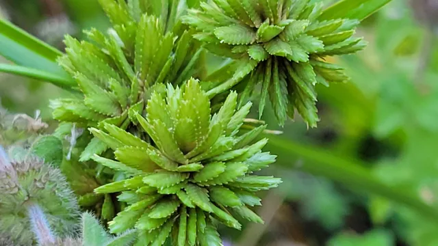 $115,000 | 14485 Small Farms Drive, Igo, CA 96047