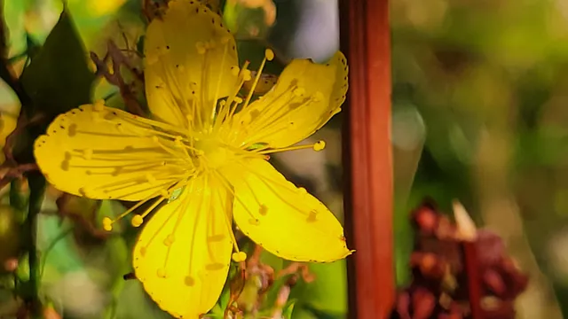 $115,000 | 14485 Small Farms Drive, Igo, CA 96047