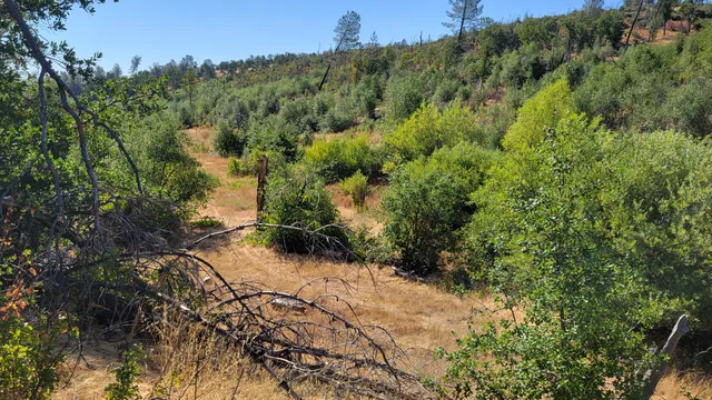 $115,000 | 14485 Small Farms Drive, Igo, CA 96047