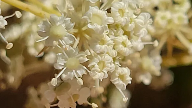 $115,000 | 14485 Small Farms Drive, Igo, CA 96047